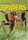 Go to record Spiders