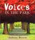 Go to record Voices in the park